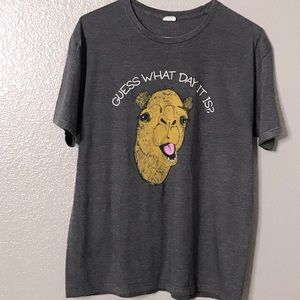 Delta Ringspun  Hump Day Graphic Mens T-